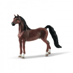 Cavall American Saddlebred (13913)