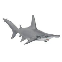 Hammerhead shark. (14835)