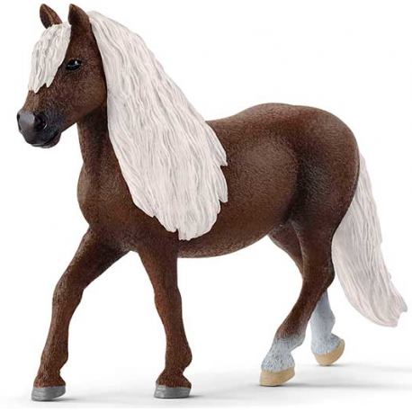 Yegua Saddlebred 13912.