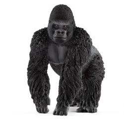 Male gorilla 14770