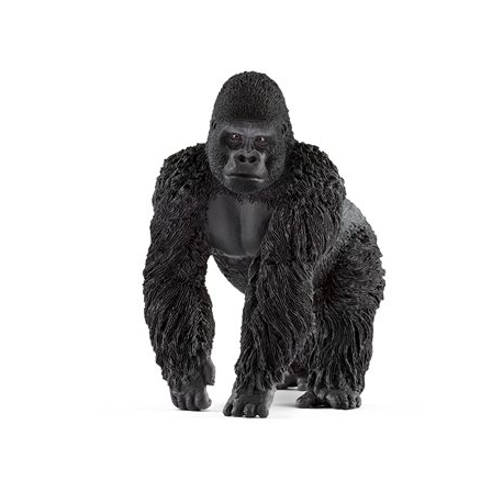Male gorilla 14770