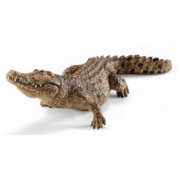 Crocodile 14736