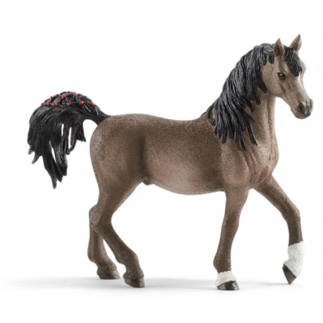 Arab Stallion Horse 13907