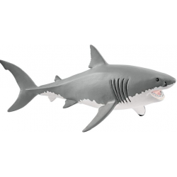 Great white shark (14809)