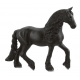 Frisian Mare 13906