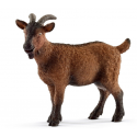 Goat 13828