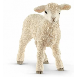 Breeds lamb 13883