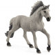 Stallion Horse Sorraia 13915