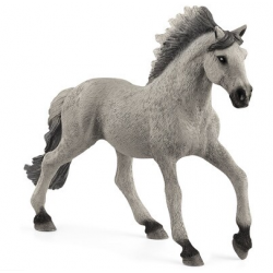 Cavall semental Sorraia 13915