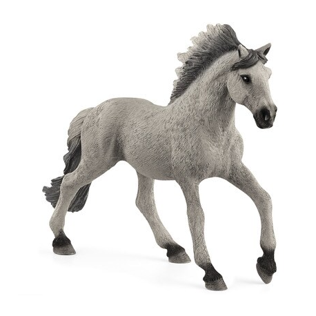 Stallion Horse Sorraia 13915