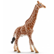Giraffe male 14749
