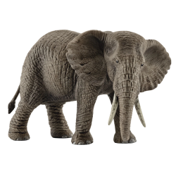 African elephan female 14761
