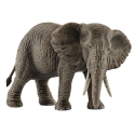 Elefante Africano hembra 14761