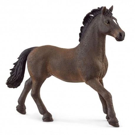 Stallion Horse Oldenburger Hengst 13946