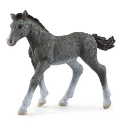 Stallion Horse pony islandia 13943