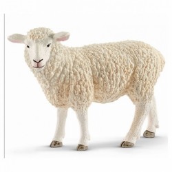 sheep 13882