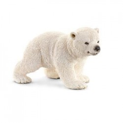 Cria de oso polar 14708