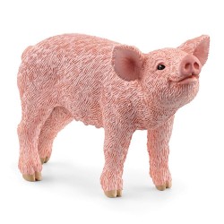 Cría de cerdo rosa 13934