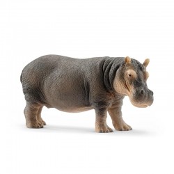 hipopótamo 14814