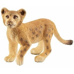 Lion cub 14813