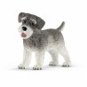 Perro schnauzer 13892