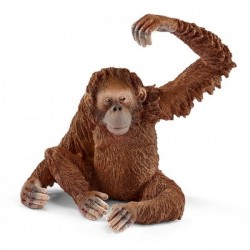 female orangutan,14775
