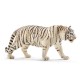Tigre macho 14729