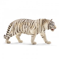 Tigre blanc 14731
