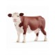 Herefort cow 13867