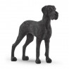 Great Dane Dog 13962