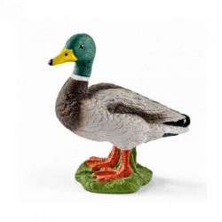 Duck 13824