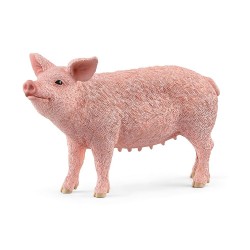 Pink pig 13923