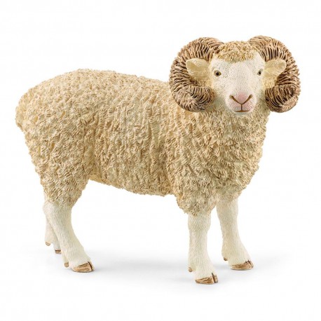 Lamb 13937