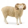 Lamb 13937
