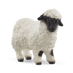 Black-nosed sheep 13965