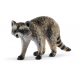 Raccoon 14828