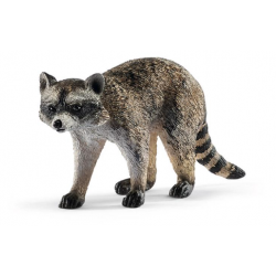 Raccoon 14828