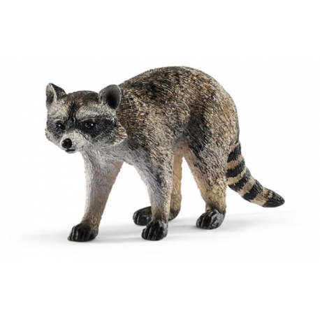 Raccoon 14828