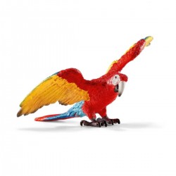 Macaw 14737