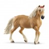 Euga Haflinger 13950