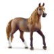 Peruvian Paso Mare 13953