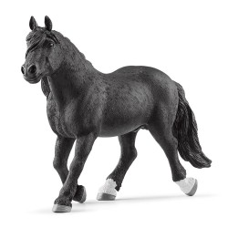Horse Noriker stallion 13958