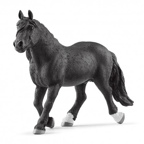 Cavall semental Noriker 13958