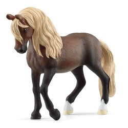 Peruvian Paso Horse 13952