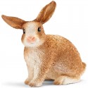 rabbit 13827