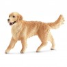 Gos femella golden retriever 16395