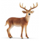 female whitetail deer 14819