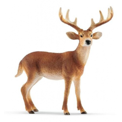 female whitetail deer 14819