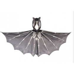 Cape of bat