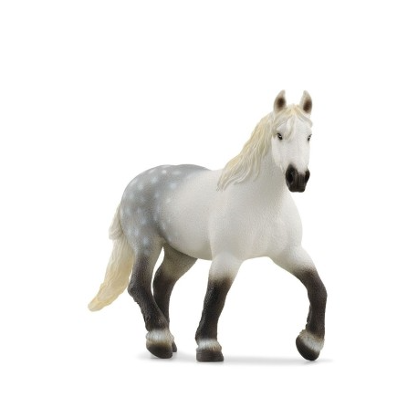 Percheron horse 13971